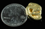 #460 Alaskan BC Natural Gold Nugget 9.16 Grams Genuine - Image 2