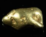 #469 Alaskan BC Natural Gold Nugget 7.78 Grams Genuine