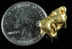 #469 Alaskan BC Natural Gold Nugget 7.78 Grams Genuine - Image 2