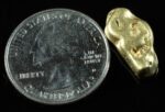 #473 Alaskan BC Natural Gold Nugget 7.10 Grams Genuine - Image 2