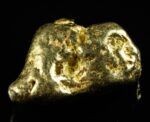 #476 Alaskan BC Natural Gold Nugget 19.05 Grams Genuine