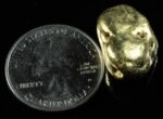 #478 Alaskan BC Natural Gold Nugget 18.73 Grams Genuine - Image 2
