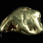 #483 Alaskan BC Natural Gold Nugget 18.80 Grams Genuine