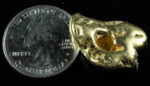 #483 Alaskan BC Natural Gold Nugget 18.80 Grams Genuine - Image 2