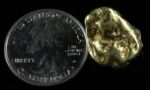 #484 Alaskan BC Natural Gold Nugget 16.73 Grams Genuine - Image 2