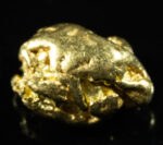 #486 Alaskan BC Natural Gold Nugget 7.80 Grams Genuine