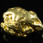 #486 Alaskan BC Natural Gold Nugget 7.80 Grams Genuine
