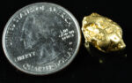 #486 Alaskan BC Natural Gold Nugget 7.80 Grams Genuine - Image 2