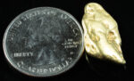 #490 Alaskan BC Natural Gold Nugget 9.13 Grams Genuine - Image 2
