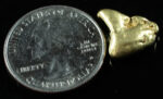 #509 Alaskan BC Natural Gold Nugget 5.70 Grams Genuine - Image 2