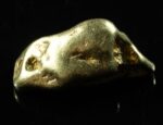 #510 Alaskan BC Natural Gold Nugget 8.70 Grams Genuine