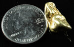 #510 Alaskan BC Natural Gold Nugget 8.70 Grams Genuine - Image 2
