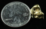 #310 Alaskan BC Natural Gold Nugget 3.95 Grams Genuine - Image 2