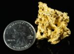 #1225 Natural Gold Nugget Australian 33.22 Grams Genuine - Image 2