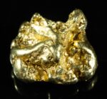 #430 Alaskan BC Natural Gold Nugget 9.83 Grams Genuine