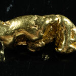 #20 California Gold Nugget 4.29 Gram Authentic Natural