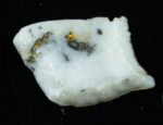 GQ-4 Gold Bearing Quartz Slab California 1.60 grams Genuine