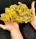 Large Natural Gold Nugget Australian 3,679.2 Grams 118.30 Troy Ounces"Hello There" - Image 2