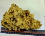 Large Natural Gold Nugget Australian 3,679.2 Grams 118.30 Troy Ounces"Hello There" - Image 8