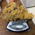 Large Natural Gold Nugget Australian 3,679.2 Grams 118.30 Troy Ounces"Hello There" - Image 9