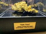 Large Natural Gold Nugget Australian 3,679.2 Grams 118.30 Troy Ounces"Hello There" - Image 10