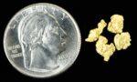Alaskan Yukon BC Gold Rush Nuggets #6 Mesh 1 Gram of Fines - Image 4