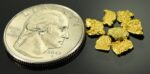 Alaskan Yukon BC Gold Rush Nugge #6 Mesh 1 DWT 1.55 Grams of Fines 1/20 OUNCE - Image 2