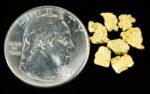 Alaskan Yukon BC Gold Rush Nugge #6 Mesh 1 DWT 1.55 Grams of Fines 1/20 OUNCE - Image 4