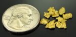 Alaskan Yukon BC Gold Rush Nuggets #6 Mesh 2 Grams of Fines - Image 2