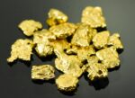 Alaskan Yukon BC Gold Rush Nuggets #6 Mesh .15 Troy Oz 4.65 Grams or 3 DWT