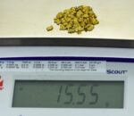Alaskan Yukon BC Gold Rush Nuggets #6 Mesh 1/2 Troy Oz 15.5 Grams or 10 DWT - Image 5