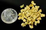 Alaskan Yukon BC Gold Rush Nuggets #6 Mesh 1/2 Troy Oz 15.5 Grams or 10 DWT - Image 4
