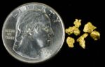 Alaskan Yukon Gold Rush Nuggets #8 Mesh .78 Grams or 1/2 dwt of Fines - Image 4