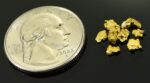 Alaskan Yukon Gold Rush Nuggets #8 Mesh  1 Gram of Fines - Image 2