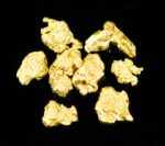 Alaskan Yukon Gold Rush Nuggets #8 Mesh  1 Gram of Fines - Image 3
