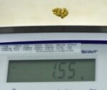 Alaskan Yukon Gold Rush Nuggets #8 Mesh 1.55 Gram of Fines - Image 5