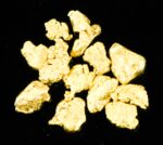 Alaskan Yukon Gold Rush Nuggets #8 Mesh 1.55 Gram of Fines - Image 3