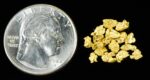 Alaskan Yukon Gold Rush Nuggets #8 Mesh 2 Grams of Fines - Image 4