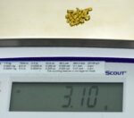 Alaskan Yukon Gold Rush Nuggets #8 Mesh 1/10 Troy Oz 3.1 Grams or 2 DWT - Image 5