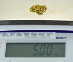 Alaskan Yukon Gold Rush Nuggets #8 Mesh 5 GRAMS OF CLEAN GOLD FLAKES - Image 5