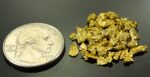 Alaskan Yukon Gold Rush Nuggets #8 Mesh 1/4 Troy Oz 7.75 Grams or 5 DWT - Image 2