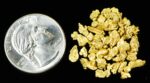 Alaskan Yukon Gold Rush Nuggets #8 Mesh 1/4 Troy Oz 7.75 Grams or 5 DWT - Image 4