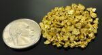 Alaskan Yukon Gold Rush Nuggets #8 Mesh 1/2 Troy Oz 15.5 Grams or 10 DWT - Image 2