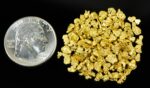 Alaskan Yukon Gold Rush Nuggets #8 Mesh 1/2 Troy Oz 15.5 Grams or 10 DWT - Image 4