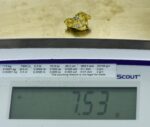 L-10 Alaskan BC Exotic Shaped Gold Nugget "Special Collection" 7.53 Grams - Image 3