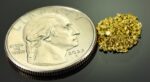 Alaskan Yukon Gold Rush Nuggets #25 Mesh 1 GRAM-of fines - Image 2