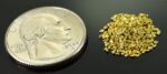 Alaskan Yukon Gold Rush Nuggets #25 Mesh .05 Troy Oz. 1.55 Grams or 1 DWT - Image 2