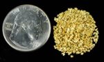 Alaskan Yukon Gold Rush Nuggets #25 Mesh 5 GRAMS OF CLEAN GOLD FLAKES. - Image 4
