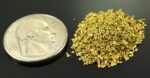 Alaskan Yukon Gold Rush Nuggets #25 Mesh 1/4 Troy Oz 7.75 Grams or 5 DWT - Image 2