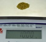 Alaskan Yukon Gold Rush Nuggets #25 Mesh 10 GRAMS OF CLEAN GOLD FLAKES - Image 5